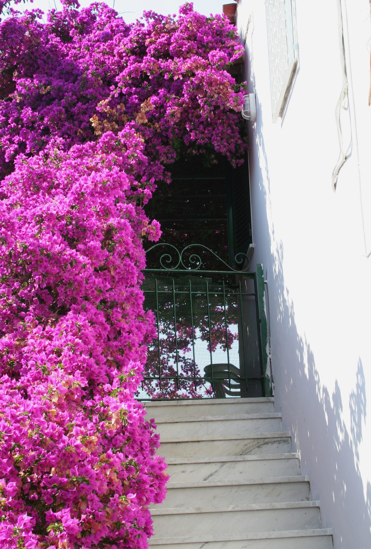 Bouganville in fiore su una scala bianca a Ischia Porto